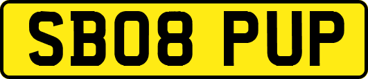 SB08PUP