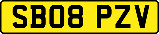 SB08PZV