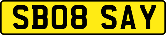 SB08SAY