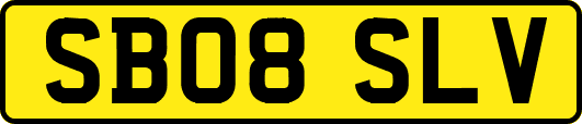 SB08SLV