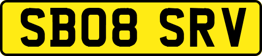 SB08SRV