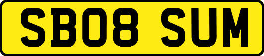 SB08SUM