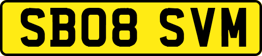 SB08SVM