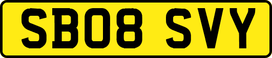 SB08SVY