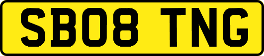 SB08TNG