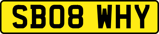 SB08WHY