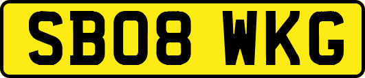 SB08WKG