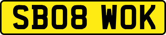 SB08WOK