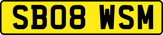 SB08WSM