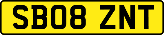SB08ZNT