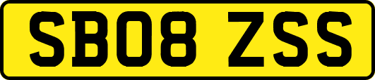 SB08ZSS