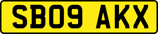 SB09AKX