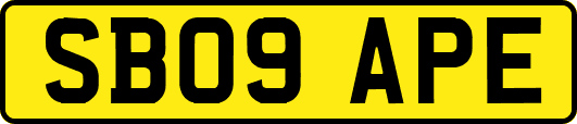 SB09APE