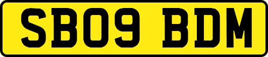 SB09BDM