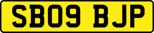 SB09BJP