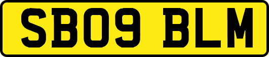 SB09BLM