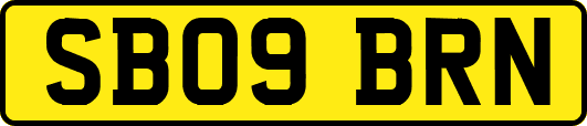 SB09BRN
