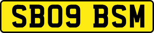 SB09BSM
