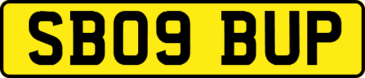 SB09BUP