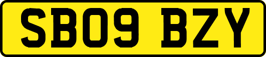 SB09BZY