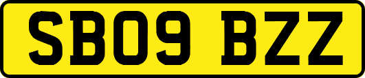SB09BZZ