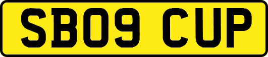 SB09CUP