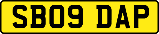 SB09DAP