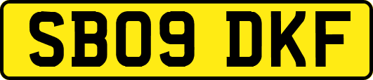SB09DKF