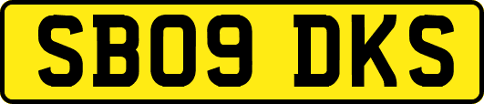 SB09DKS