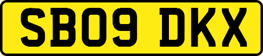 SB09DKX