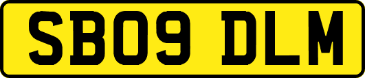SB09DLM