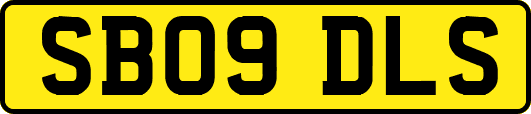 SB09DLS