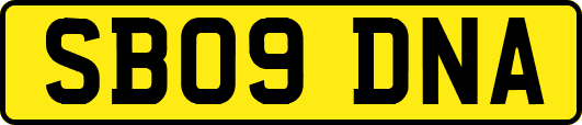SB09DNA