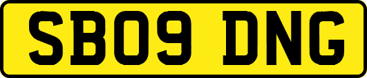 SB09DNG