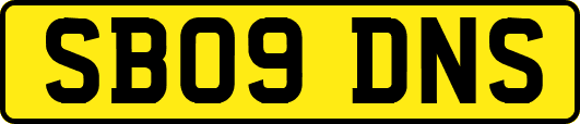 SB09DNS