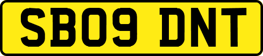 SB09DNT