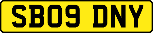 SB09DNY