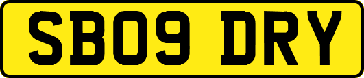 SB09DRY