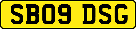 SB09DSG