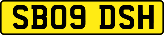 SB09DSH