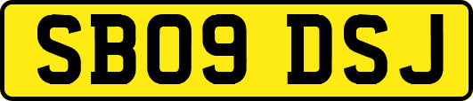 SB09DSJ