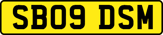 SB09DSM
