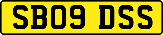 SB09DSS
