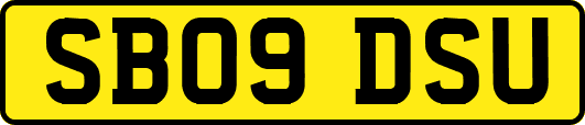 SB09DSU