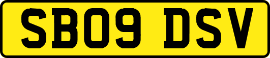 SB09DSV