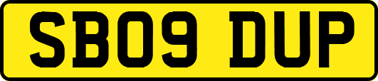 SB09DUP