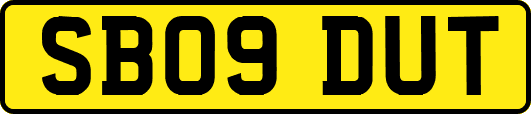 SB09DUT
