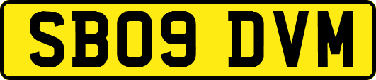 SB09DVM