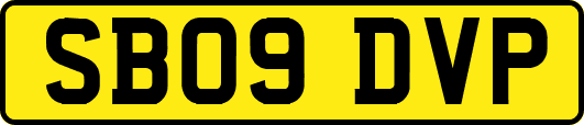 SB09DVP