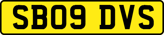 SB09DVS
